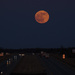 Cold Moon over I-35 by kareenking