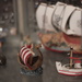 Ships ahoy! by kgolab