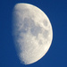 Late Afternoon Moon by seattlite