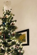 9th Dec 2019 - Christmas tree lights