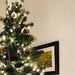 Christmas tree lights by cristinaledesma33