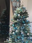 9th Dec 2019 - Christmas Tree 
