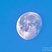 Morning Moon (handheld) by carolmw