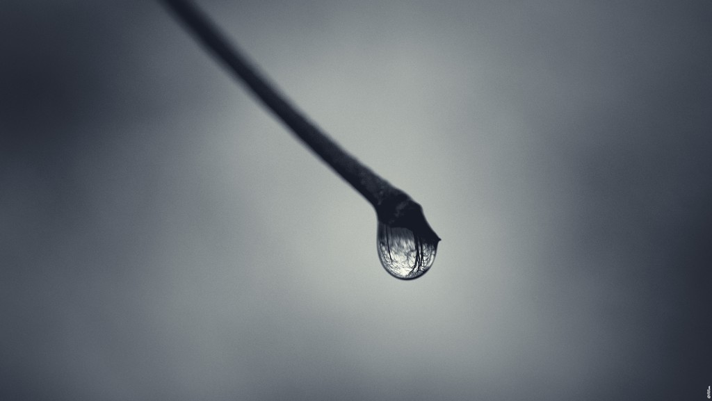 World In A Drop by ramr