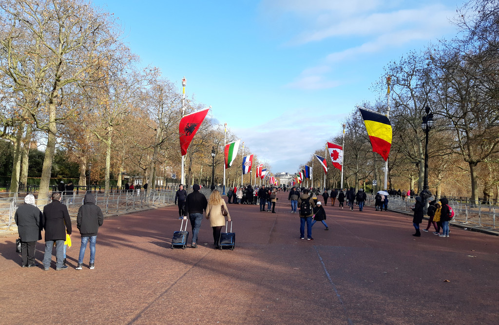 11th Dec The Mall NATO Summit Flags by valpetersen