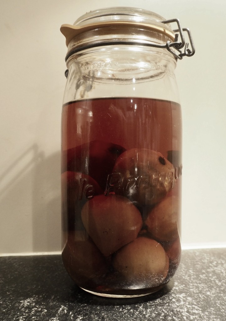 Pickled Pears by thedarkroom