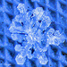 Snowflake by larrysphotos