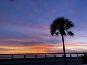 16th Dec 2019 - Sunset at The Battery in Charleston with palmetto