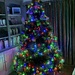 Our Christmas Tree by nicolecampbell