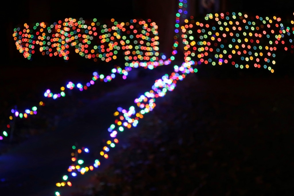 A neighbor’s Christmas lights, bokeh style! by louannwarren