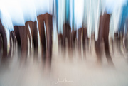 23rd Nov 2019 - Playing with Intentional Motion Blur