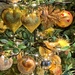 Golden hearts.  by cocobella