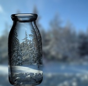 16th Dec 2019 - Bottle of Winter Fun