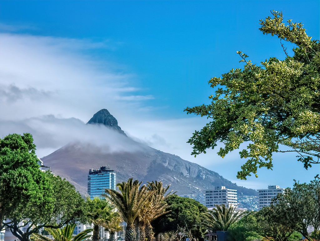 Lions Head in Sea Point  by ludwigsdiana