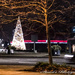 Christmas tree lights  by stuart46