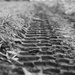 Tracks  by leonbuys83