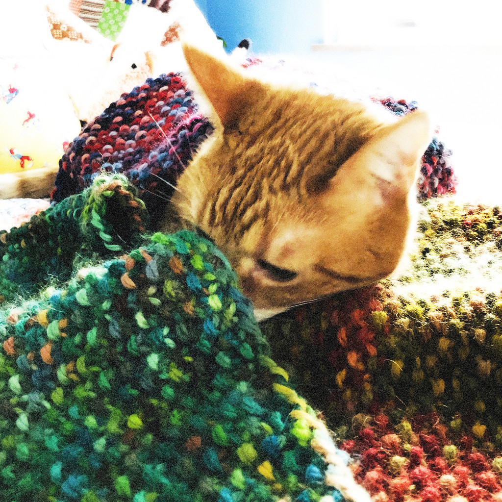 My Knitting Helper by yogiw