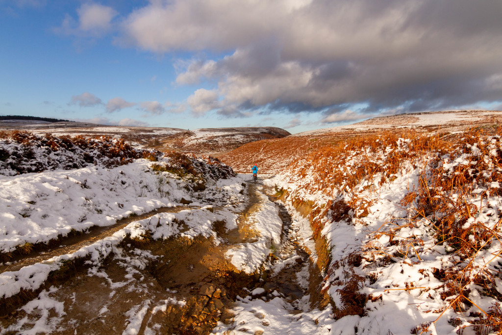 North York Moors by natsnell