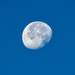 Sunday morning moon by danette