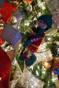 17th Dec 2019 - The Elf on the Shelf moved to the tree