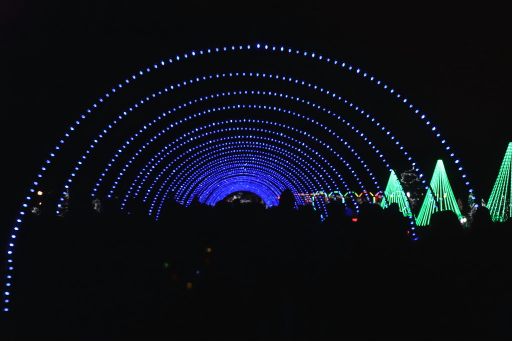 Holiday Light Tunnel by randy23