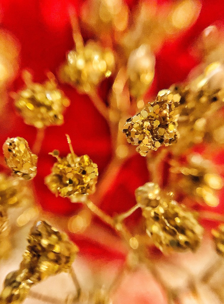 Gold and red.  by cocobella