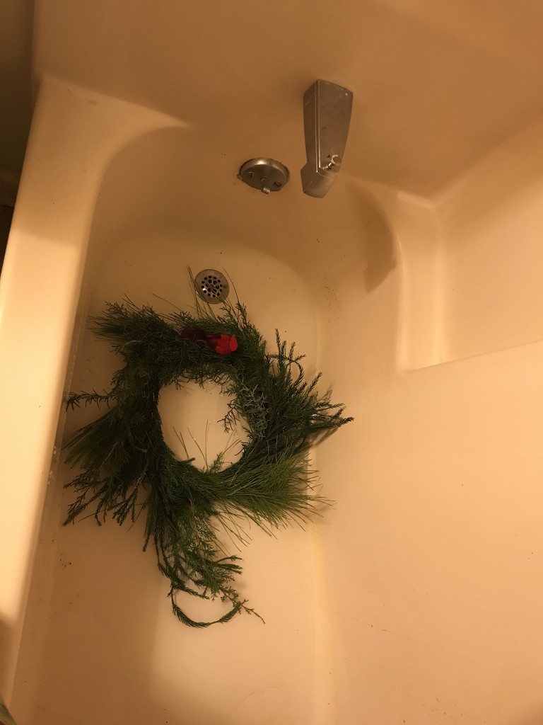 Wreath’s Bathtime by gratitudeyear