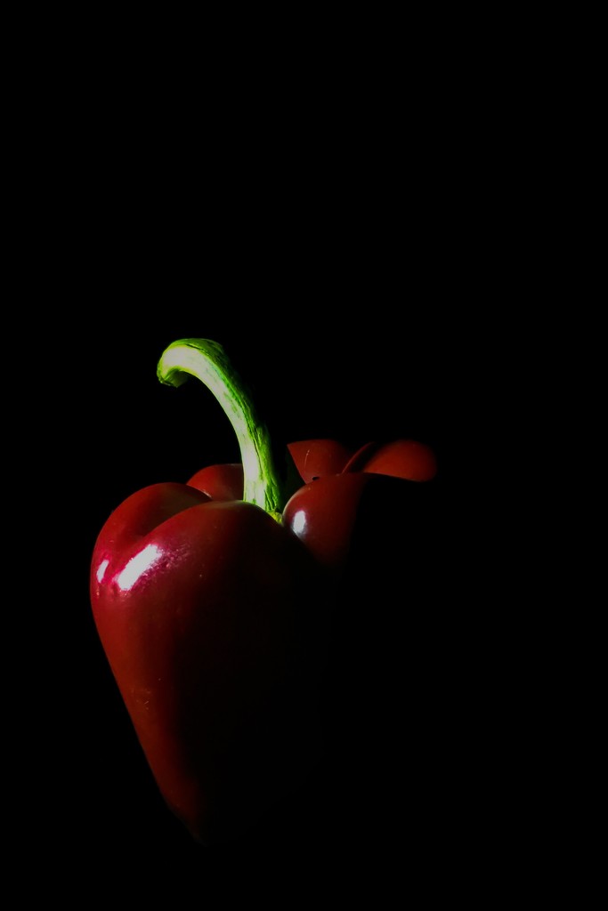 Red Pepper by imnorman
