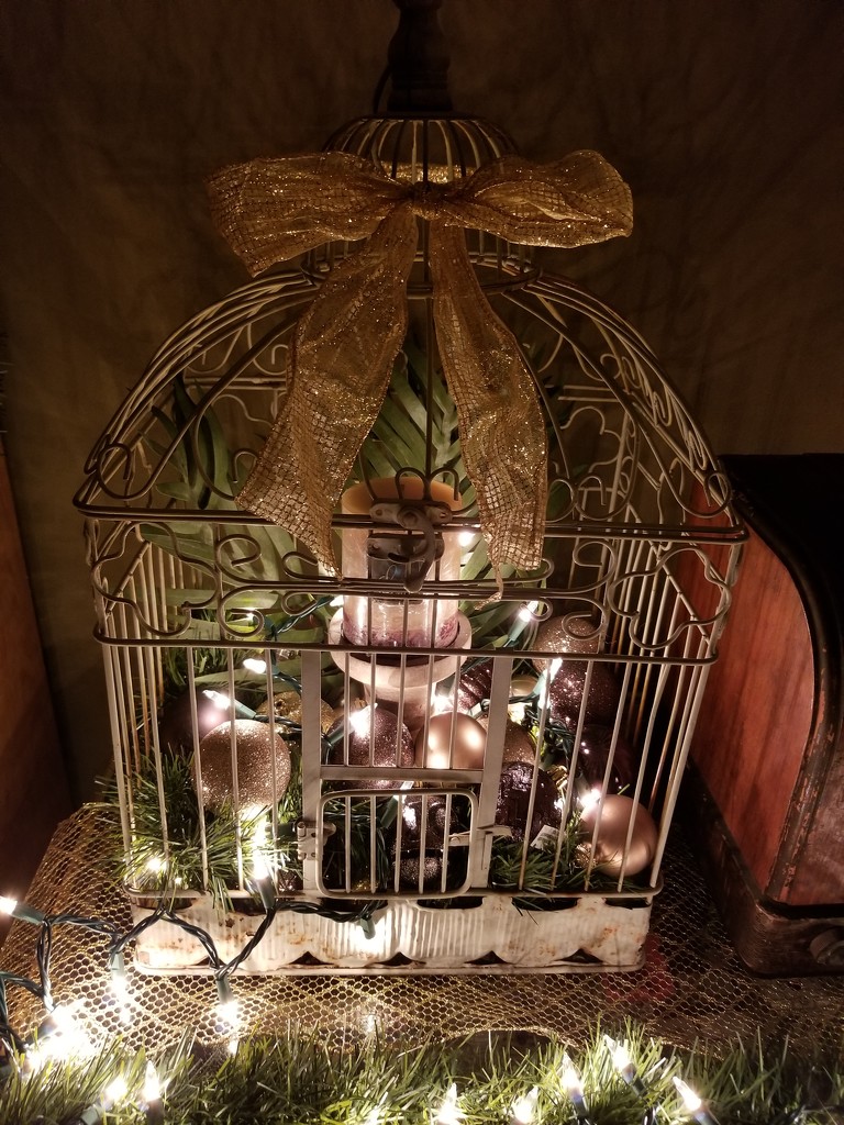 Capturing the Christmas spirit in a cage. by scoobylou