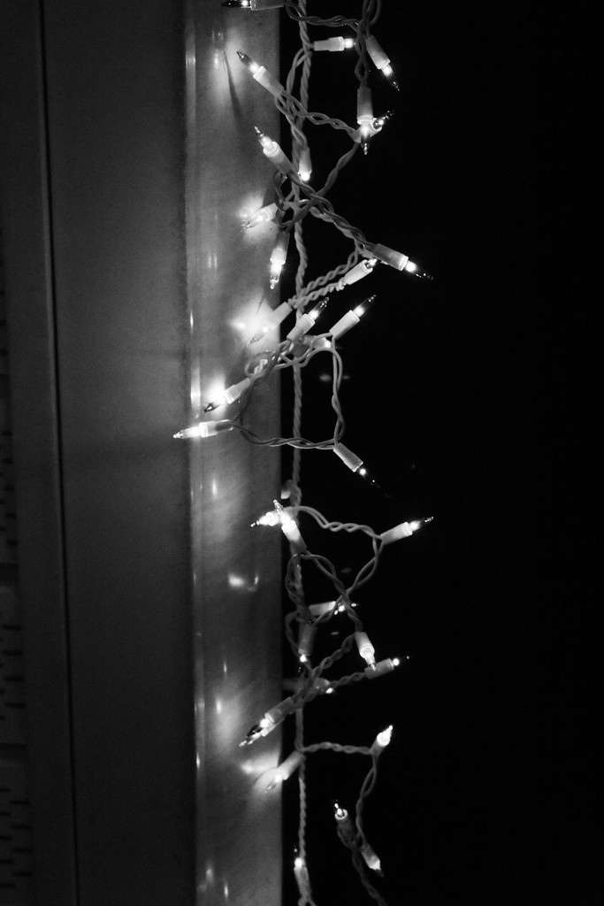 BW Icicles by homeschoolmom