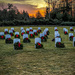 Sunrise at Springvale Veterans Cemetery by joansmor