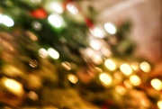 19th Dec 2019 - A new Polka: The ICM Bokeh! 