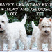 Happy Christmas from Finlay and George by pamknowler