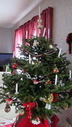 19th Dec 2019 - Our Christmas tree