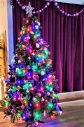 20th Dec 2019 - Christmas Carols Christmas Tree  ~    