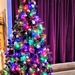 Christmas Carols Christmas Tree  ~     by happysnaps