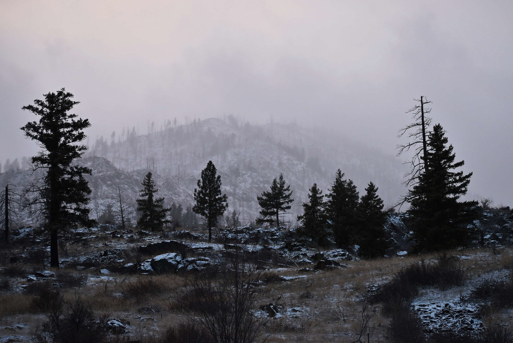 Foggy Montana Afternoon by bjywamer