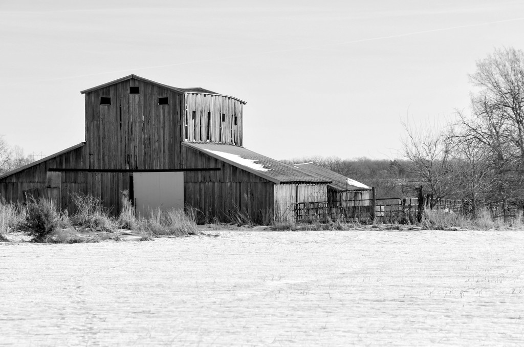Barn on Snow by kareenking