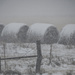 Snow-covered Haybales by kareenking