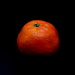 Citrus. by gaf005
