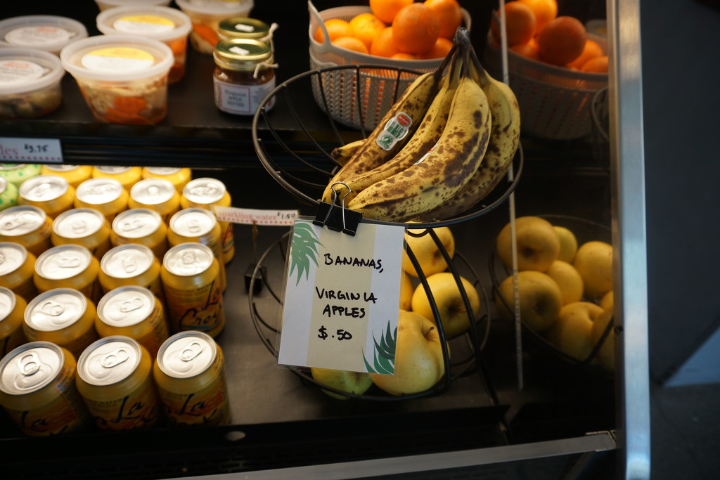 Bananas at a Museum:  A Real Bargain by allie912