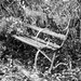 Rustic Bench  by phil_sandford