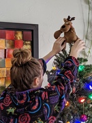 21st Dec 2019 - The Christmas Moose