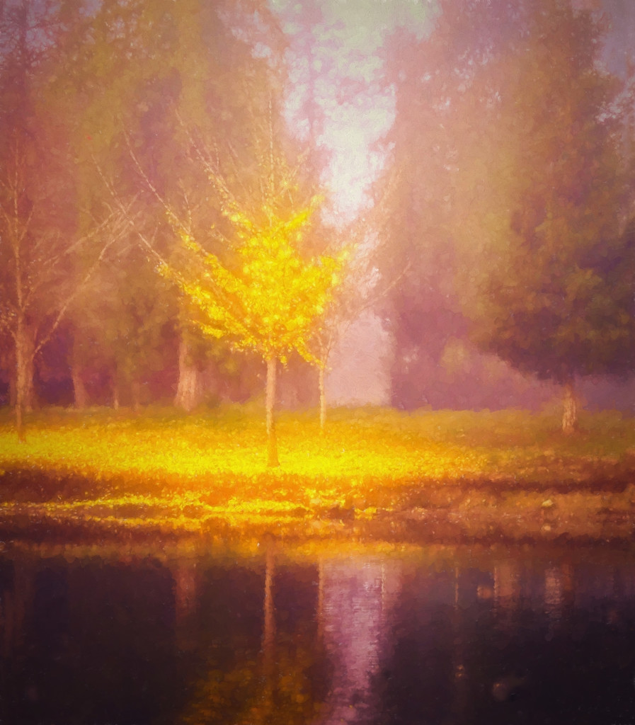 Golden Tree  In The Fog by joysfocus