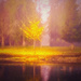 Golden Tree  In The Fog by joysfocus