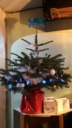 14th Dec 2019 - Fun sized Christmas tree 