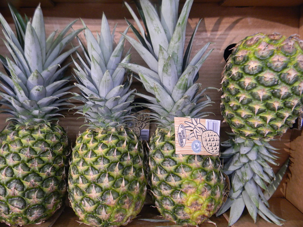 Pineapples at Lidl by sfeldphotos