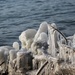 ice and water by edorreandresen