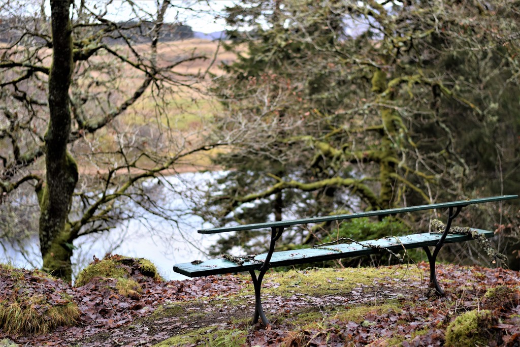 bench with a view by christophercox