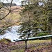 bench with a view by christophercox